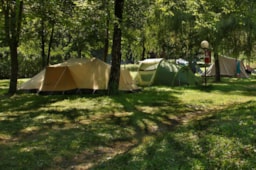 Standplads + 1 Bil + Telt, Campingvogn Eller Autocamper +  Elektricitet