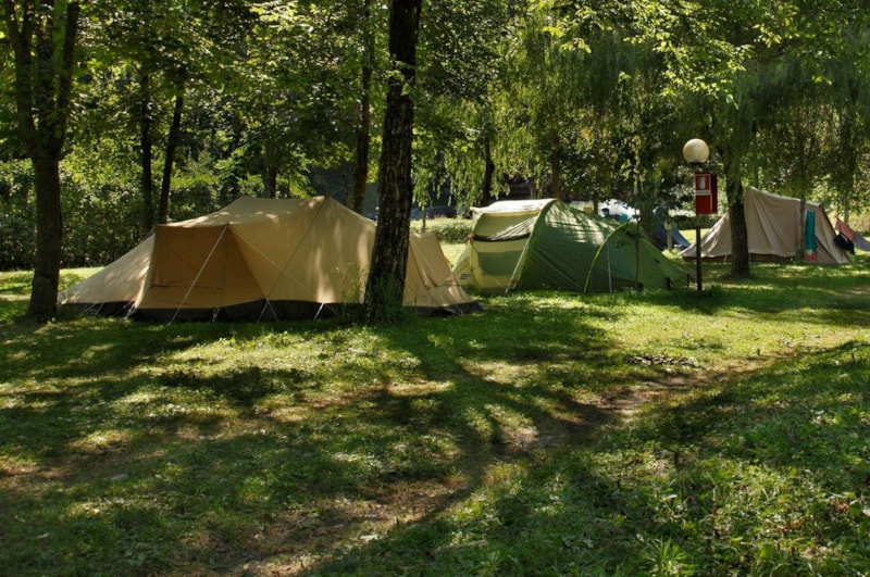 Standplaats + 1 auto + tent, caravan of camper +  elektriciteit