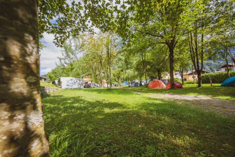 Emplacement + 1 Voiture + Tente, Caravane Ou Camping-Car + Électricité