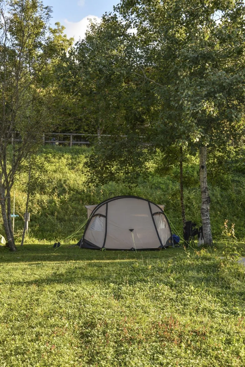 Stands Small + 1 Car + Tents Or Minivan + Electricity