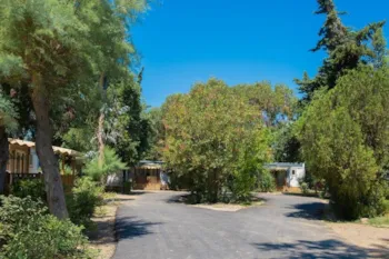 Mietunterkunft - Mobilheim Tamaris - Camping-Village Arinella Bianca