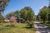 Foto #5 van Camping-Village Arinella Bianca