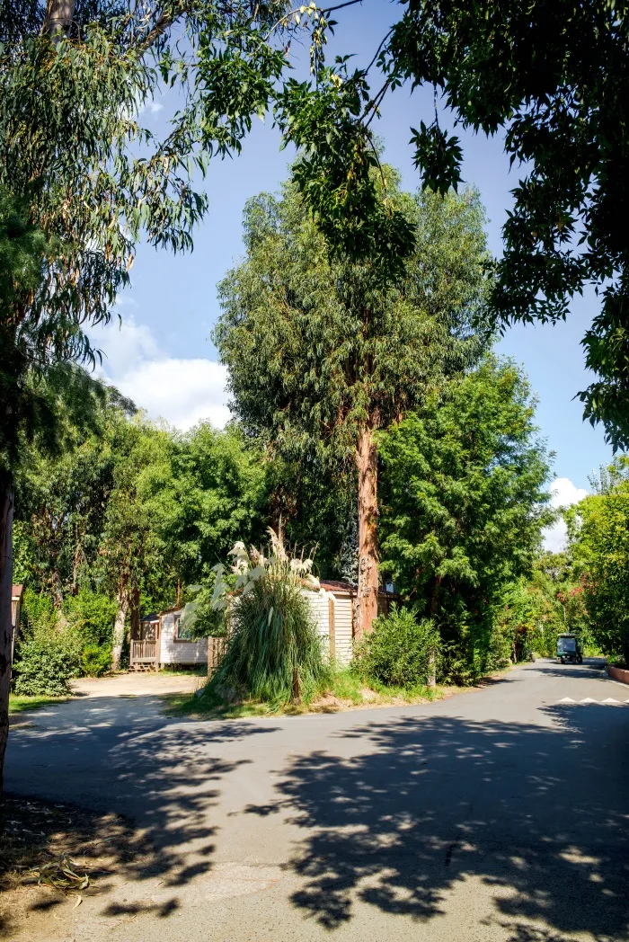 Camping-Village Arinella Bianca