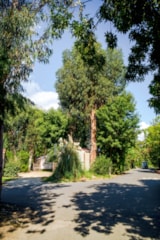 Foto #7 van Camping-Village Arinella Bianca