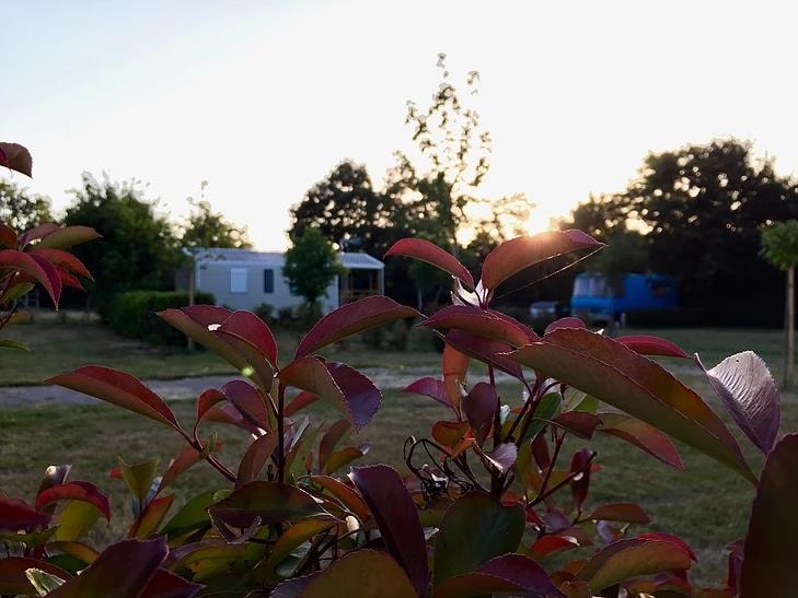 Camping Au Pré de l'Etang — Photo 2