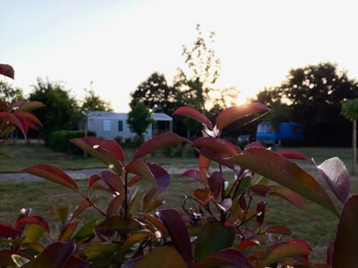 Camping Au Pré de l'Etang