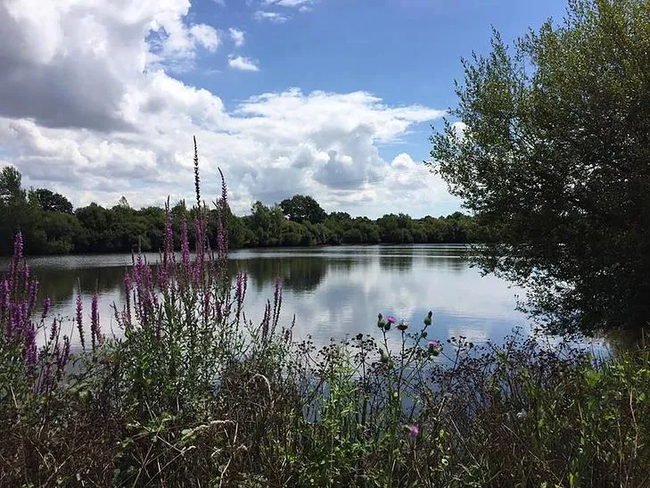 Camping Au Pré de l'Etang