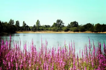 Camping Au Pré de l'Etang - MyCamping