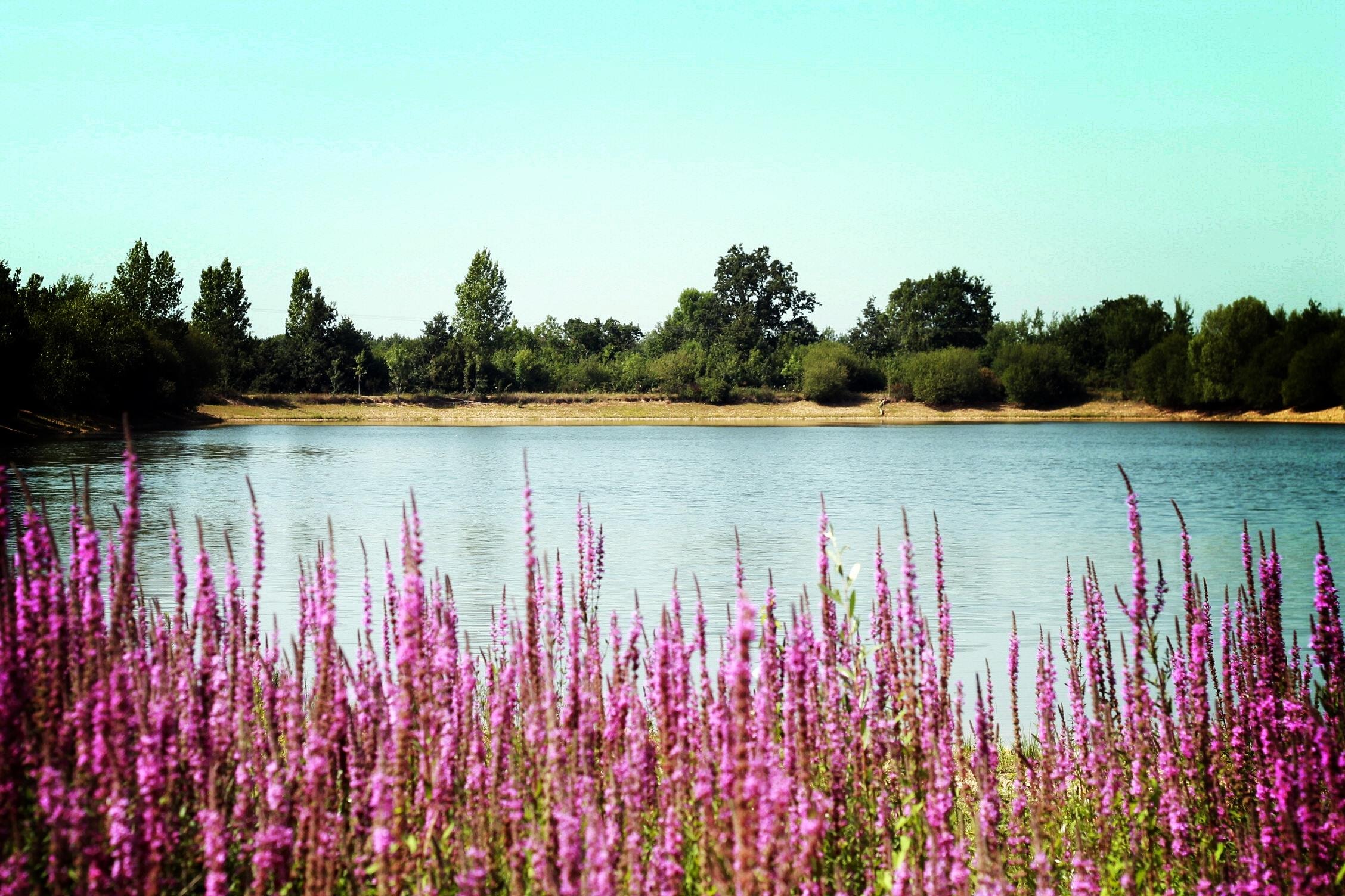 Camping Au Pré de l'Etang — Photo 1