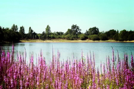 Camping Au Pré de l’Etang