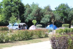 Stellplatz - Stellplatz Auto + Zelt Oder Wohnwagen - Camping Au Pré de l'Etang