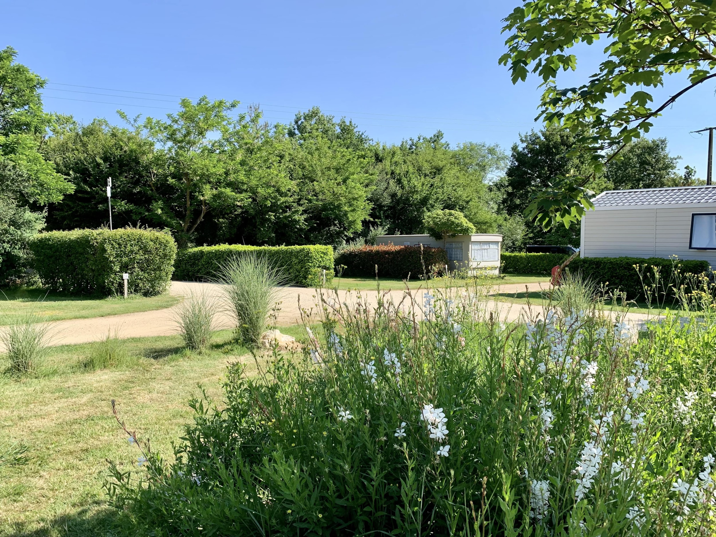 Camping Au Pré de l'Etang — Photo 8