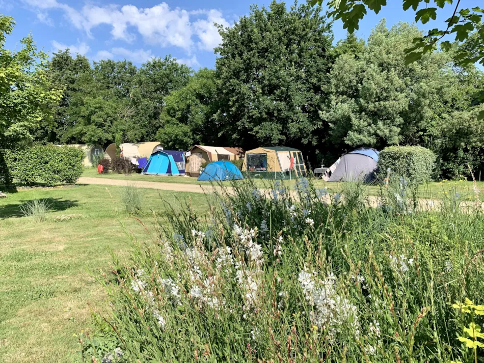 Camping Au Pré de l'Etang