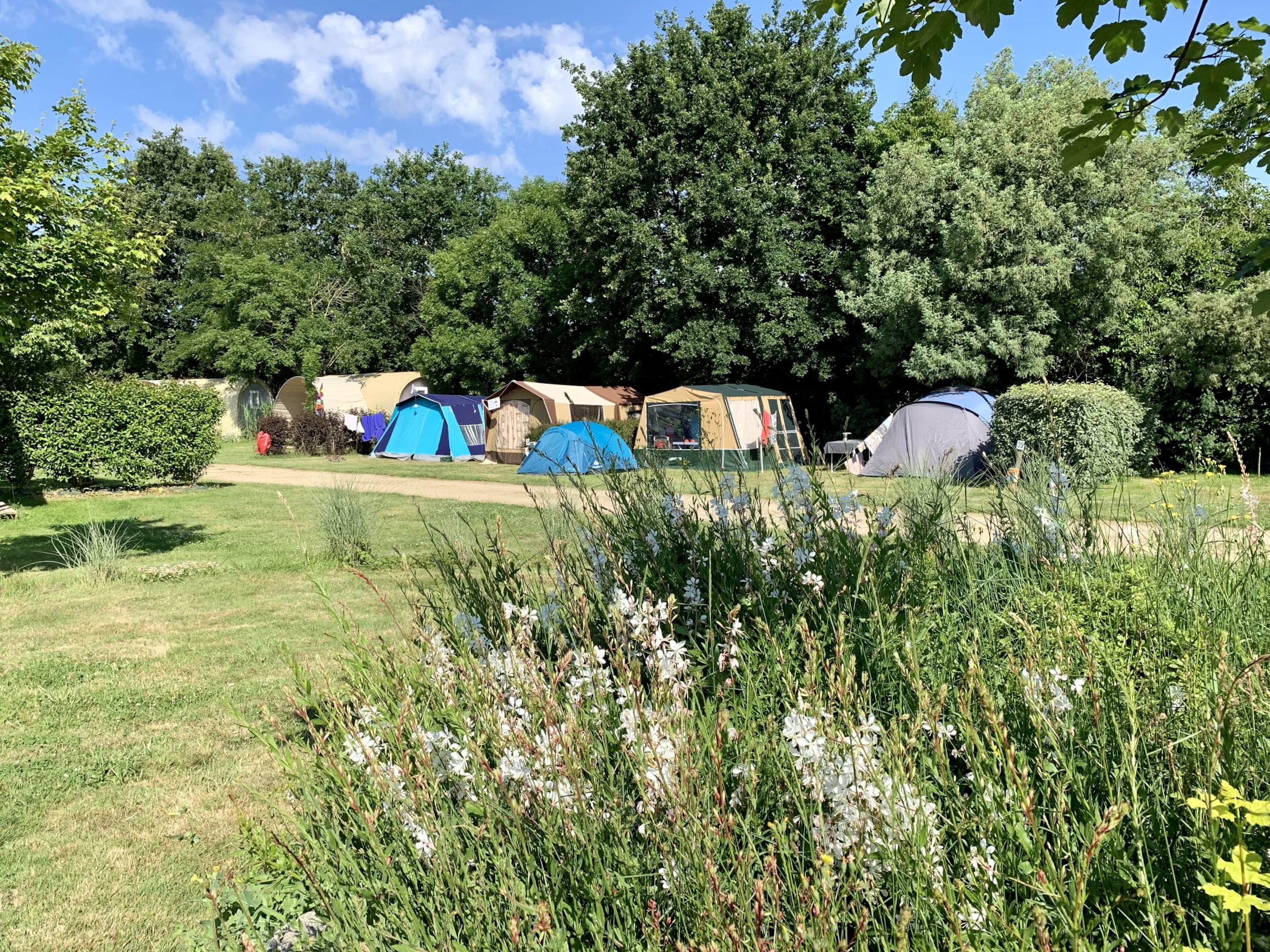 Camping Au Pré de l'Etang — Photo 9