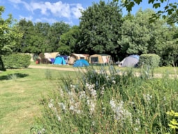 Camping Au Pré de l'Etang - image n°9 - Roulottes
