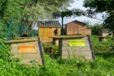 Foto #26 van Camping Les Pommiers