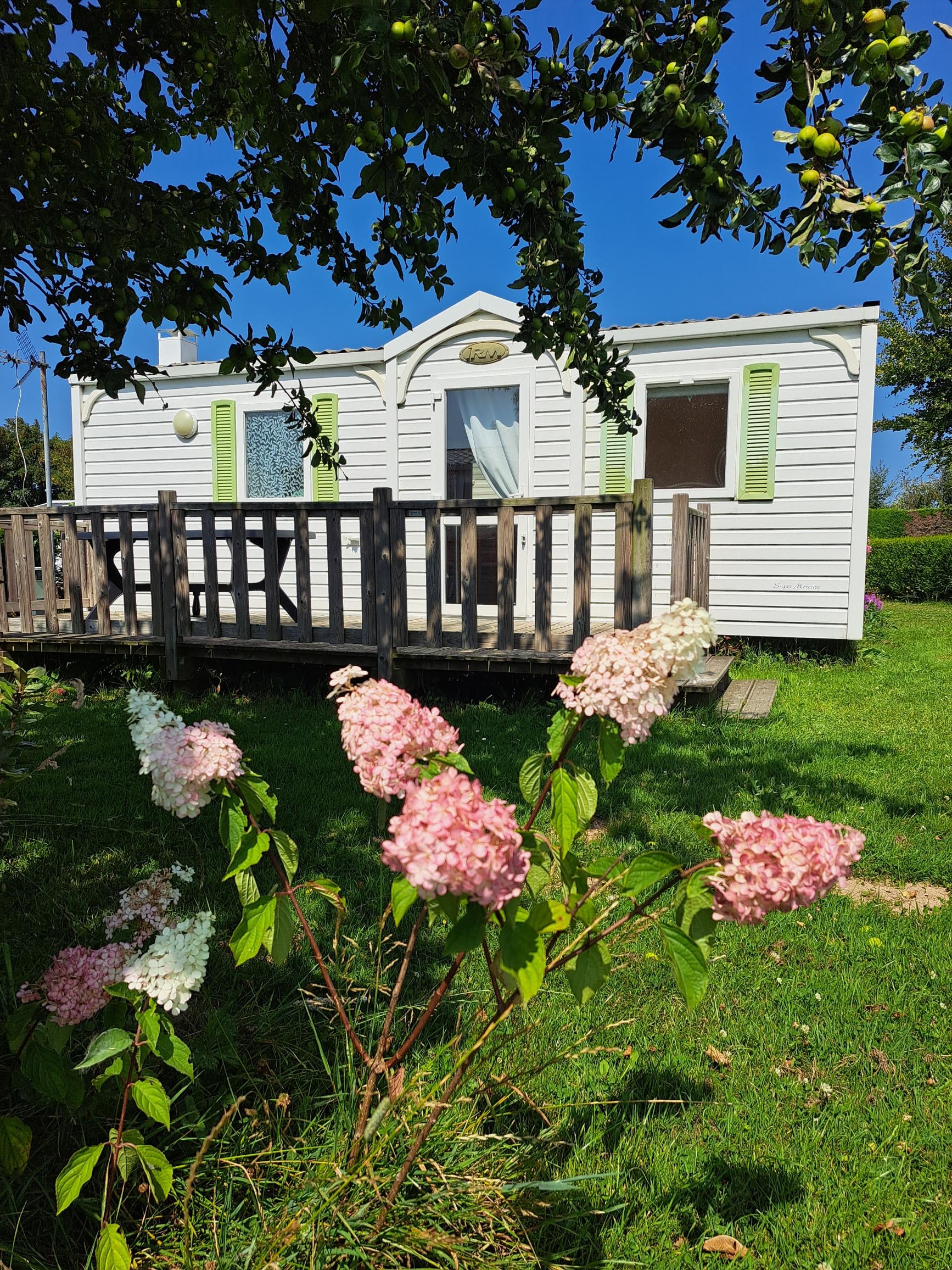 Camping Les Pommiers — Photo 4