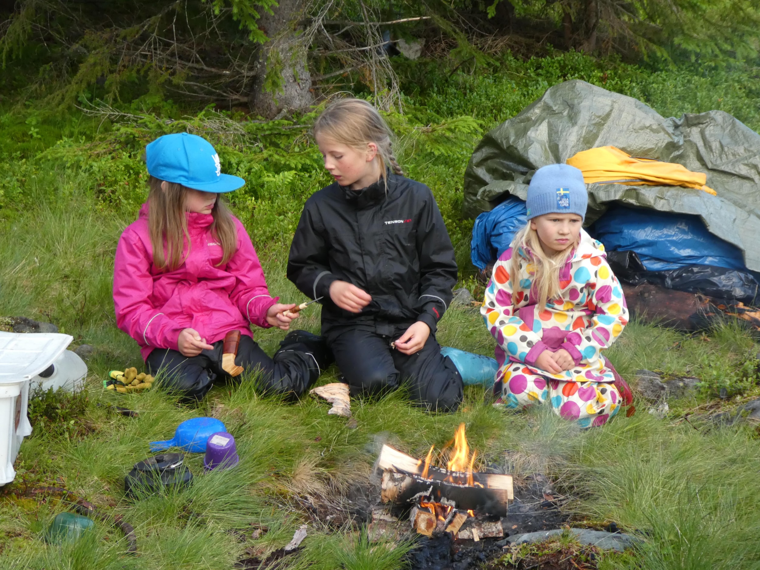Kallsedets Camping & Stugor — Foto 7