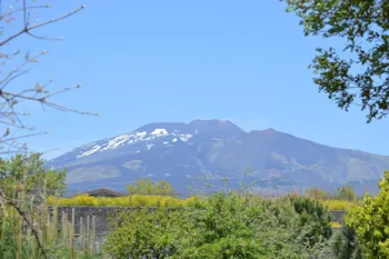 Mons Gibel Camping Park - MyCamping