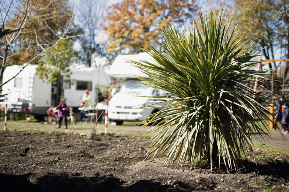 Mons Gibel Camping Park