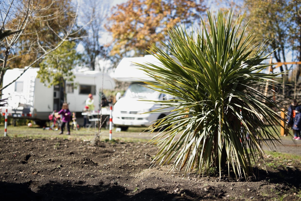 Mons Gibel Camping Park