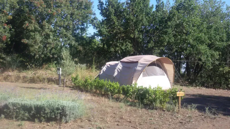Emplacement Petite Tente + Véhicule
