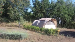 Standplaats Kleine Tent + Voertuig