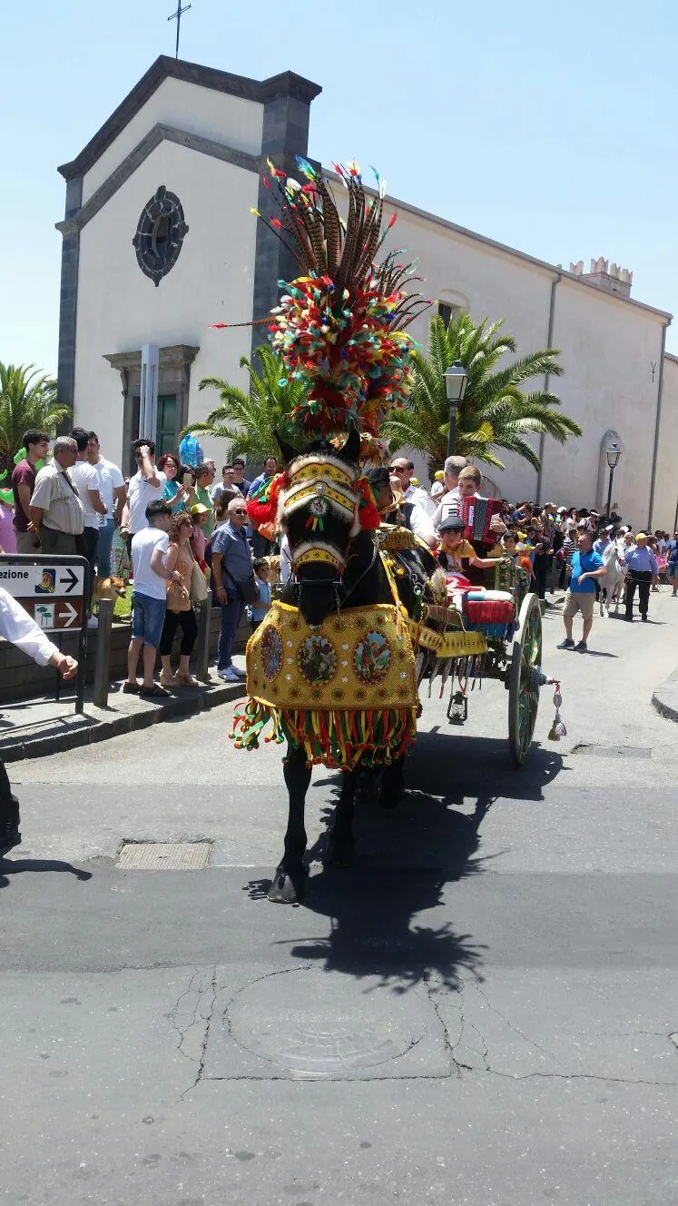 Mons Gibel Camping Park - image n°26 - UniversalBooking