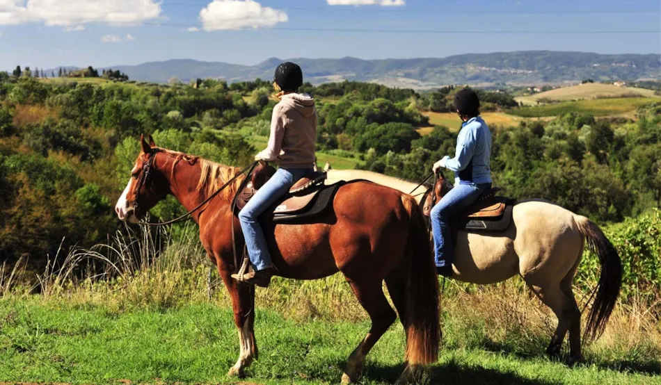 Mons Gibel Camping Park