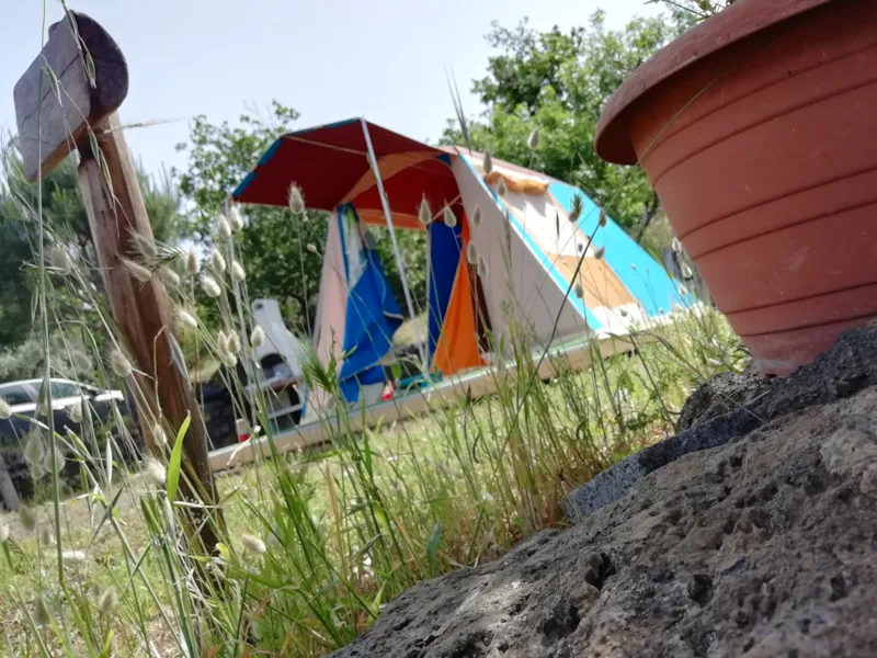 Emplacement Petite Tente + Véhicule