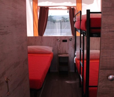 Safari Trend Lodge — 3