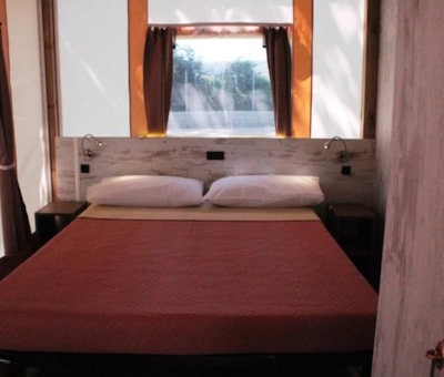 Safari Trend Lodge — 4