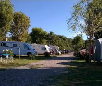 Stellplatz - Stellplatz M - Camping Trasimeno