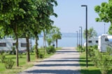 Foto #3 van Camping Trasimeno