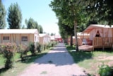 Foto #14 van Camping Trasimeno