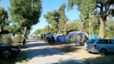 Foto #19 van Camping Trasimeno