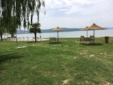 Foto #31 van Camping Trasimeno