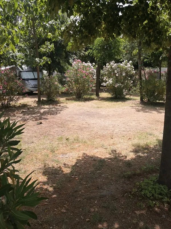 Emplacement Xl Côté Lac