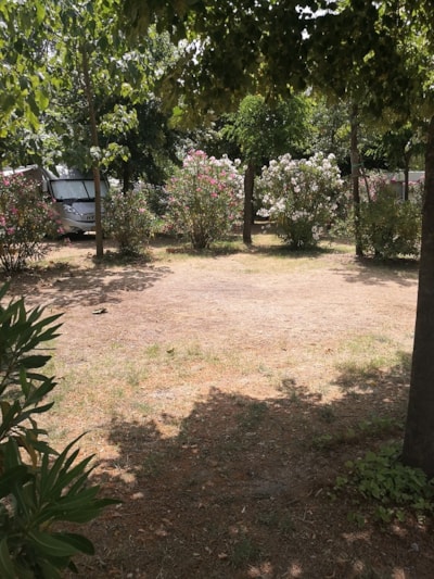 Pitch XL lake area — 3