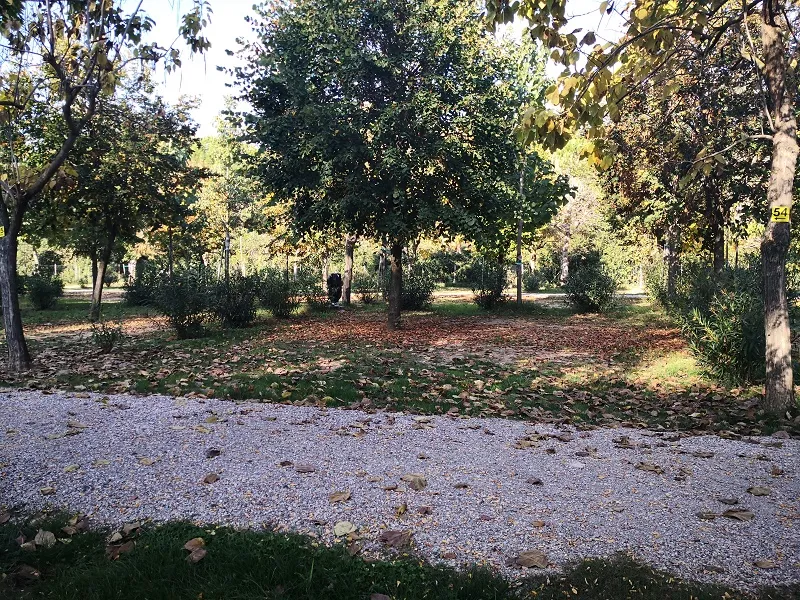 Emplacement Xl Côté Lac