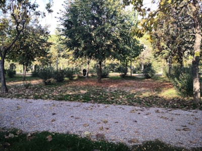 Pitch XL lake area — 4