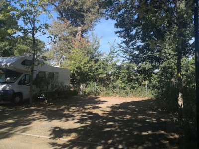 Pitch M — 6