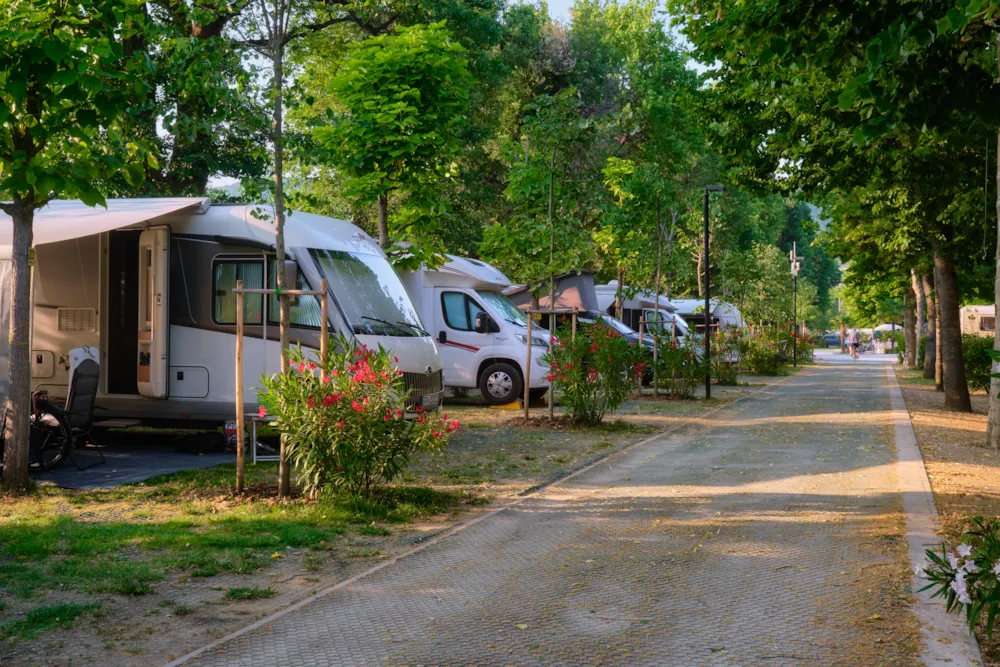 Camping Trasimeno