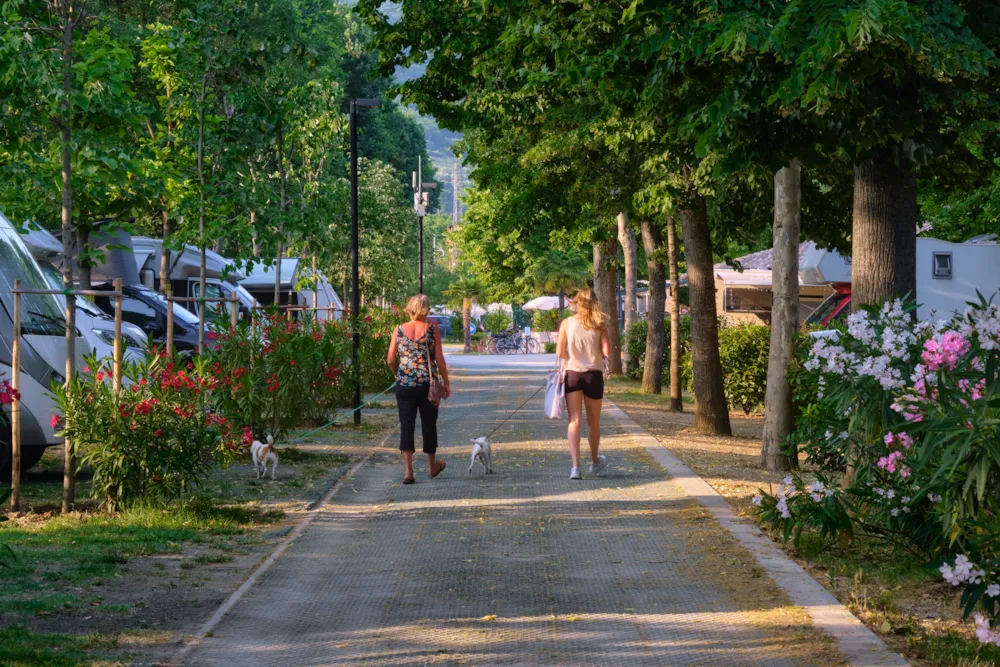 Camping Trasimeno