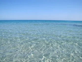 Amfibie Treks - image n°2 - Camping Direct