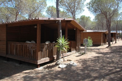 Chalet with Full Board — 1