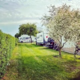 Foto #6 van Campingplatz Landidyll