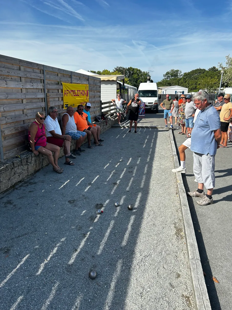 Camping Domaine du Mès