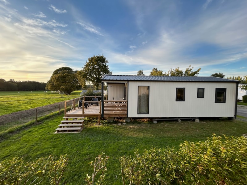 Collectie PRESTIGE - Moderne stacaravan met XXL-terras voor 4 personen.