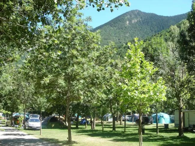 Camping La Mola - image n°4 - Camping Direct